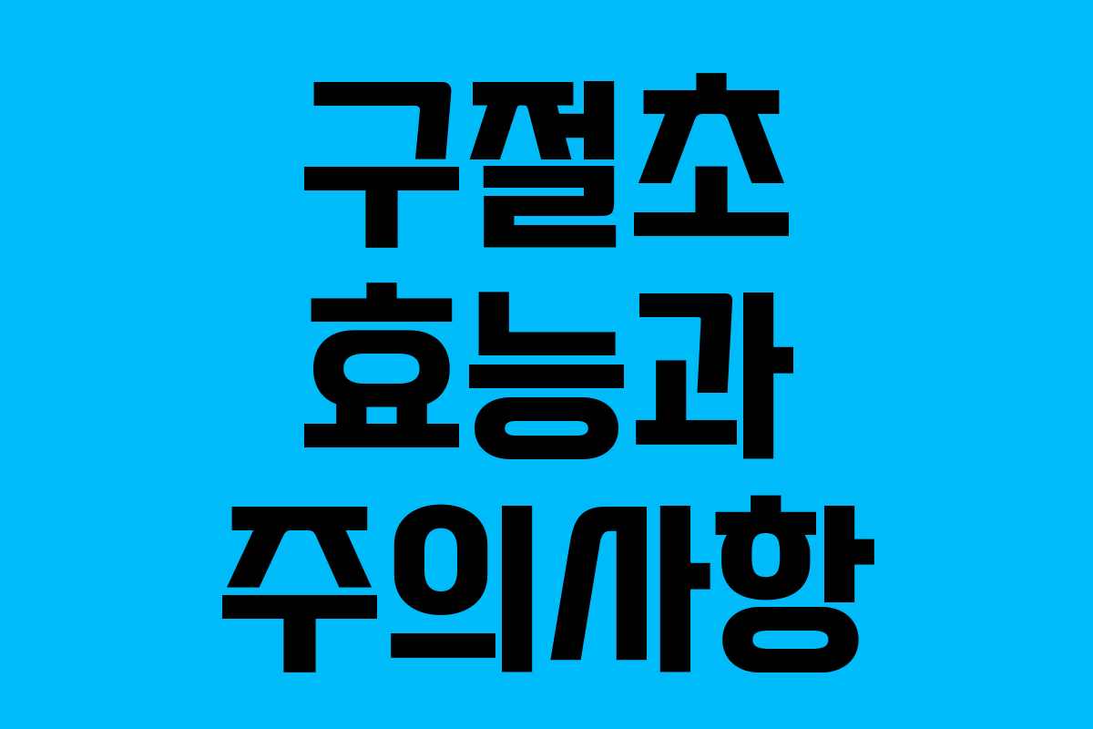 구절초 효능과 주의사항