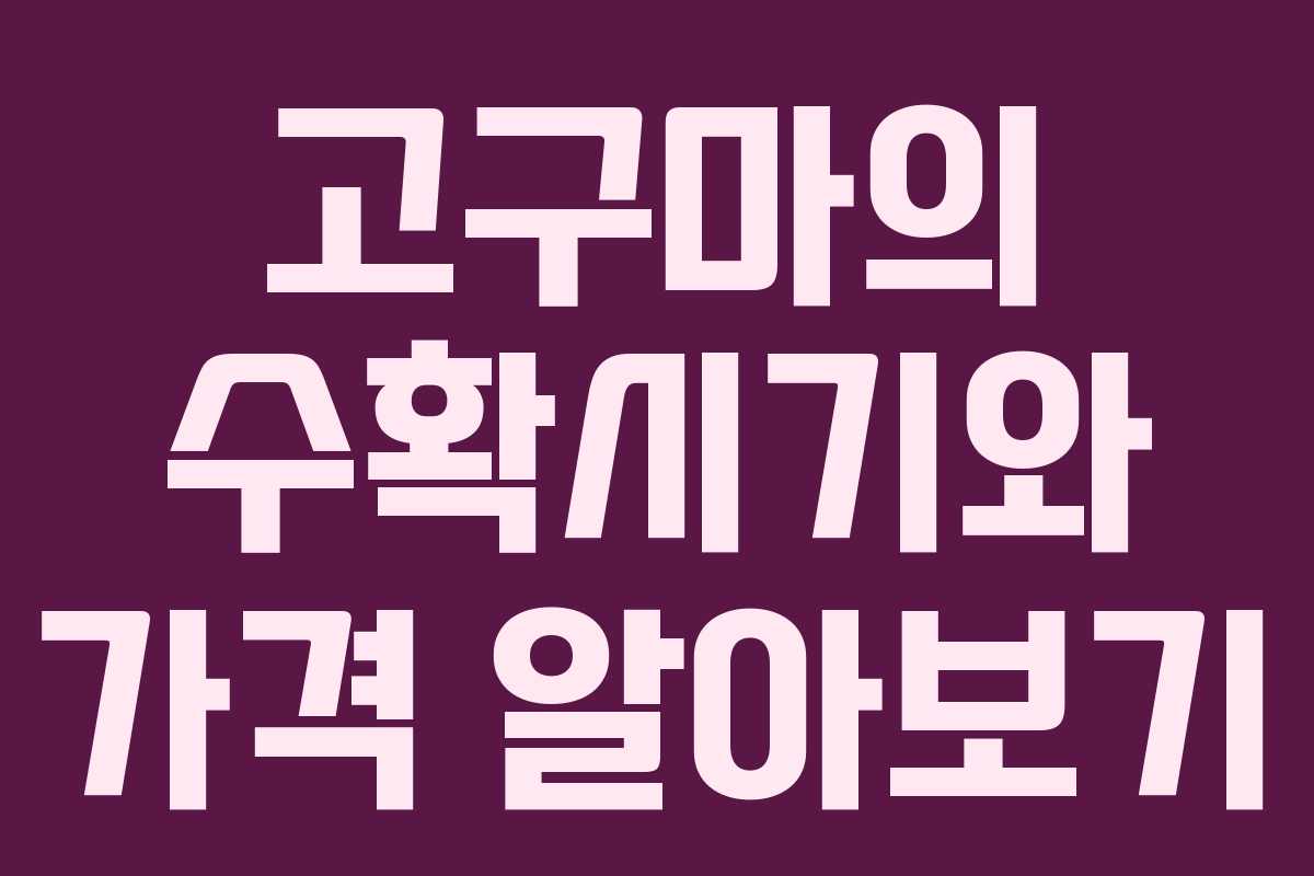 고구마의 수확시기와 가격 알아보기 고구마의 수확시기와 가격 알아보기