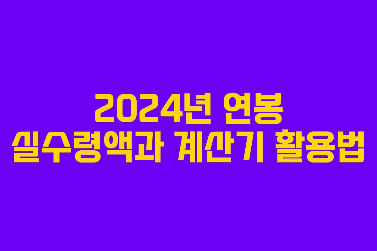 2024년 연봉 실수령액과 계산기 활용법