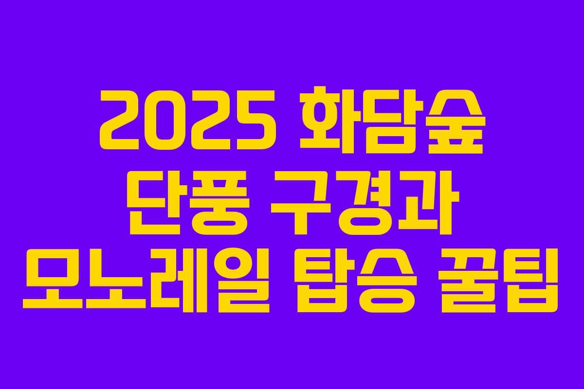 2025 화담숲 단풍 구경과 모노레일 탑승 꿀팁