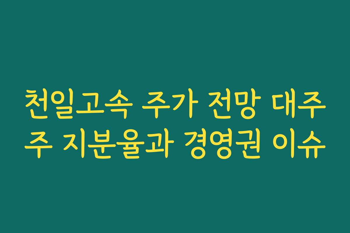 천일고속 주가 전망 대주주 지분율과 경영권 이슈