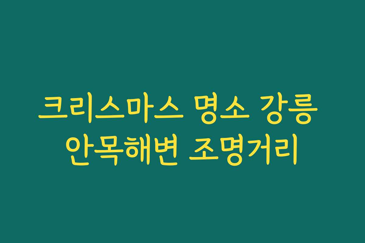크리스마스 명소 강릉 안목해변 조명거리