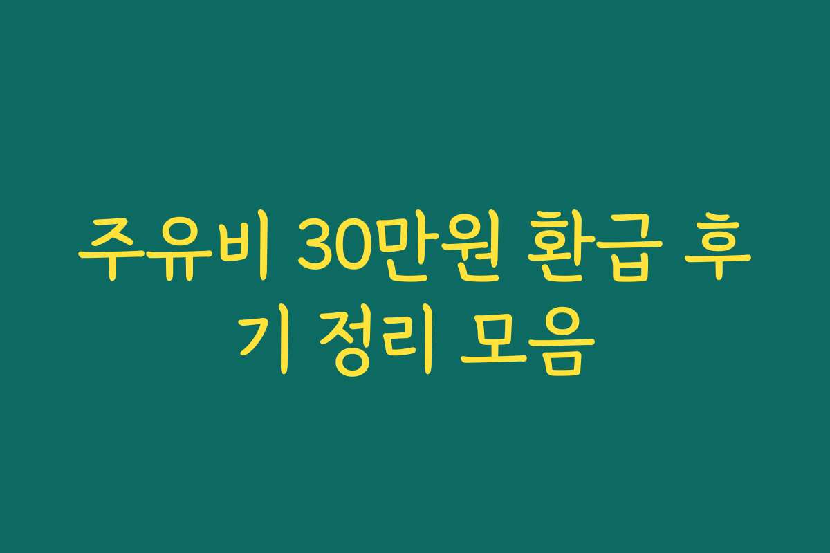 주유비 30만원 환급 후기 정리 모음