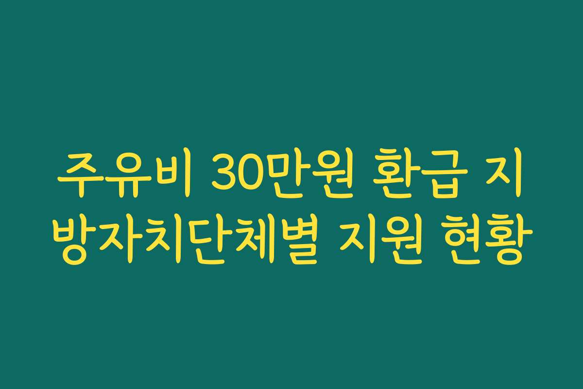 주유비 30만원 환급 지방자치단체별 지원 현황 주유비 30만원 환급 지방자치단체별 지원 현황
