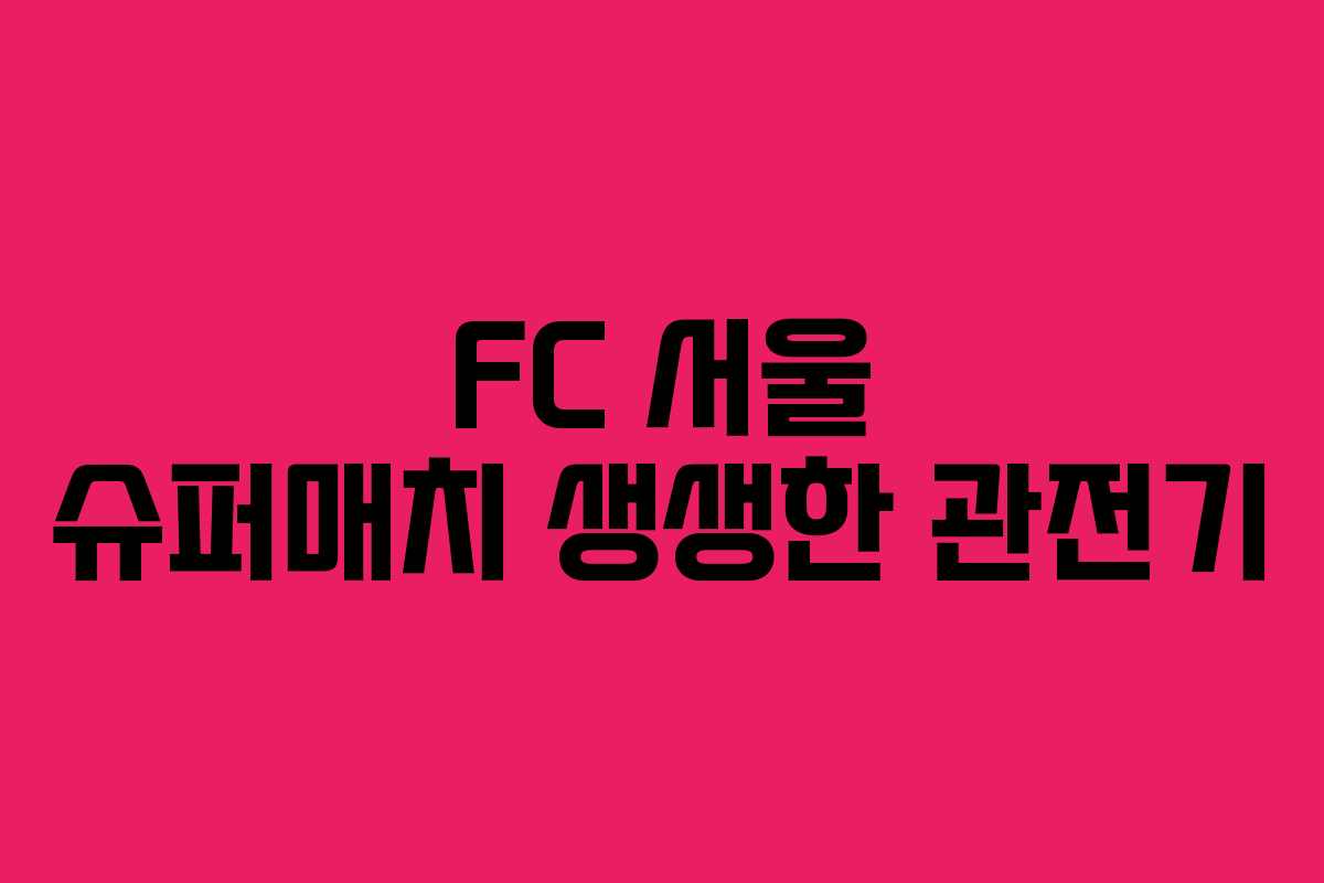 FC 서울 슈퍼매치 생생한 관전기