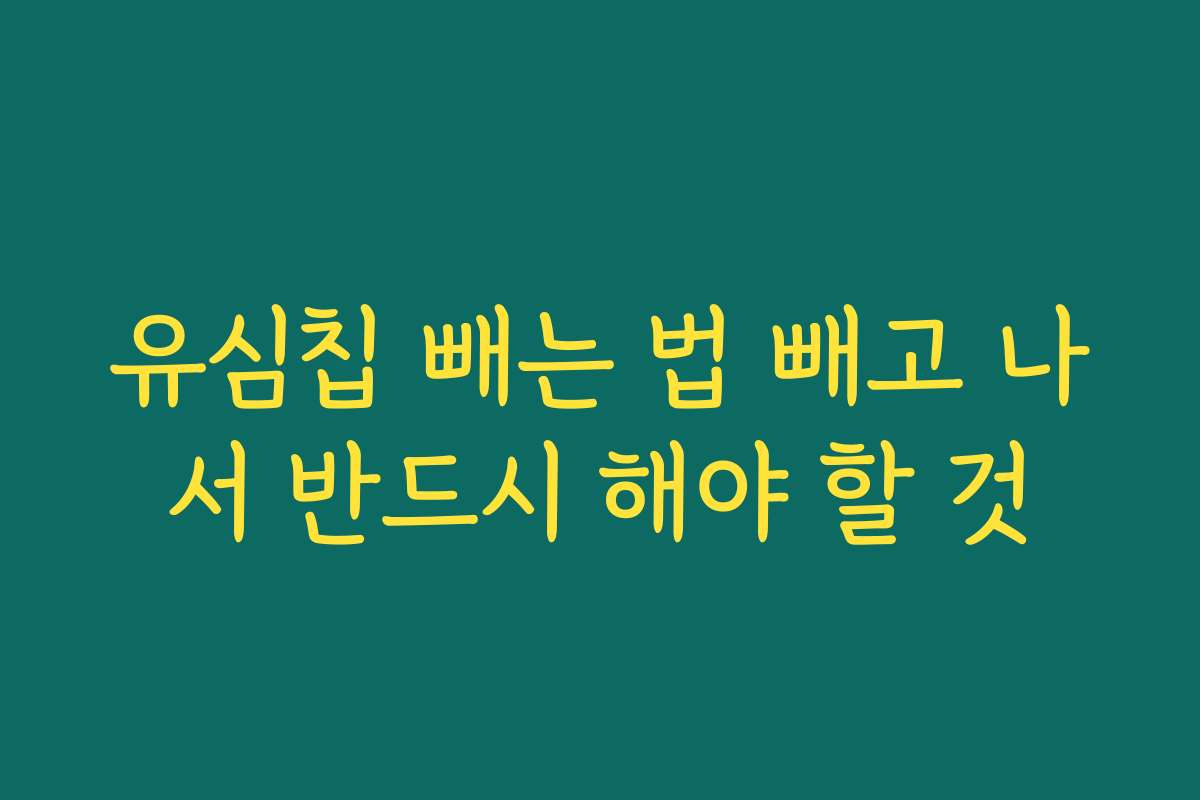 유심칩 빼는 법 빼고 나서 반드시 해야 할 것