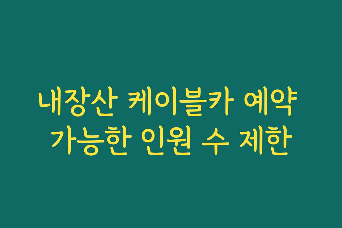 내장산 케이블카 예약 가능한 인원 수 제한