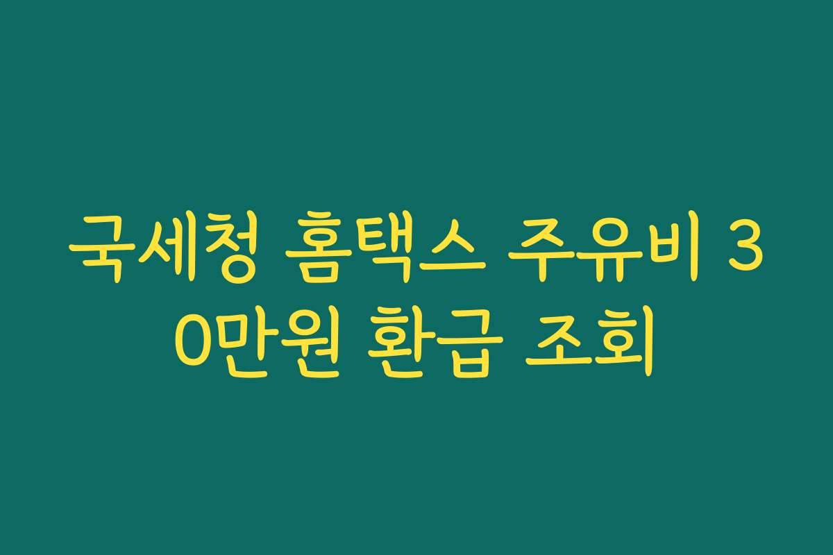 국세청 홈택스 주유비 30만원 환급 조회