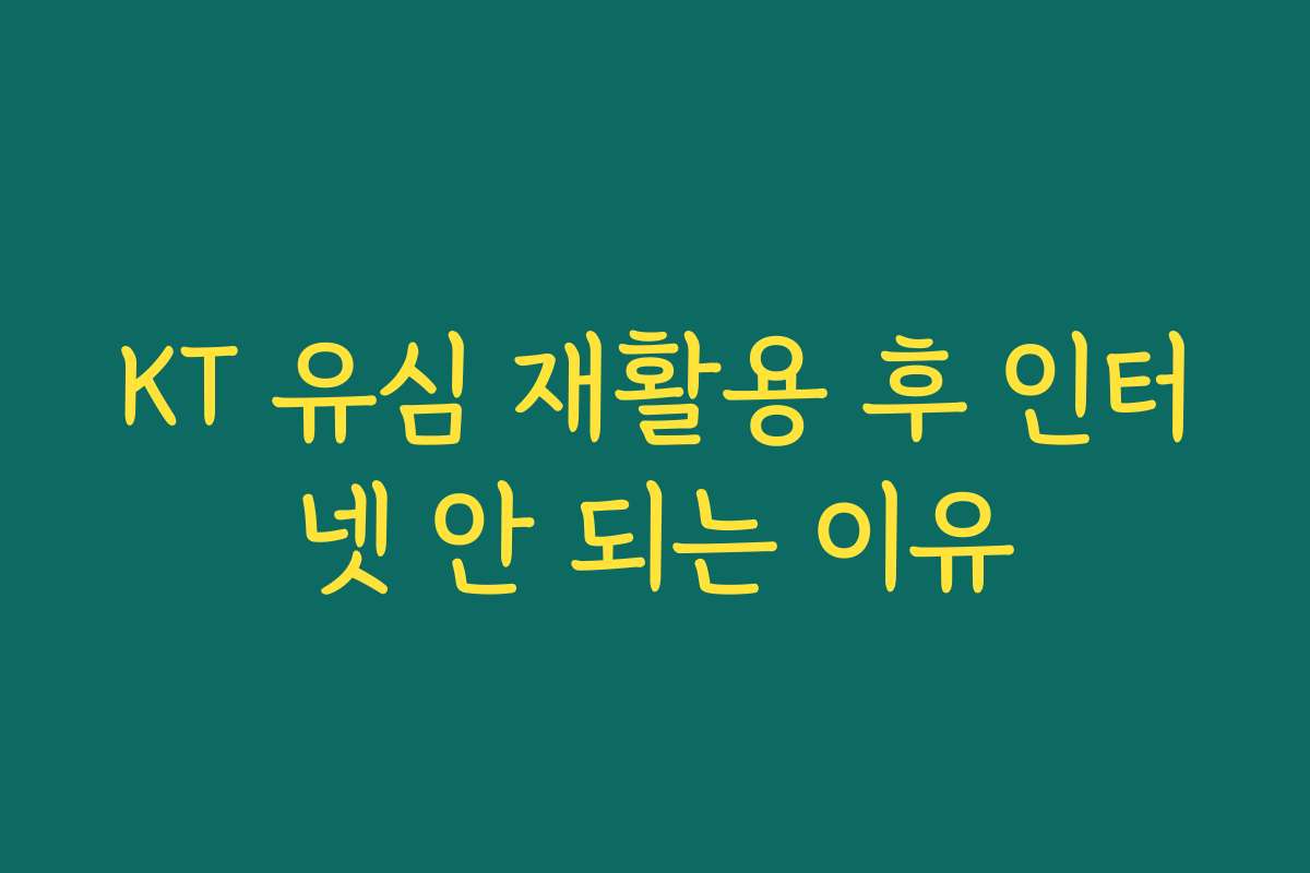 KT 유심 재활용 후 인터넷 안 되는 이유