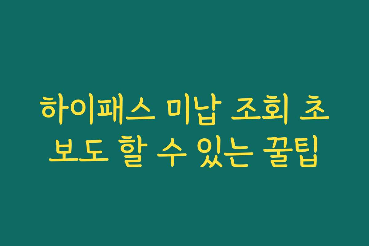 하이패스 미납 조회 초보도 할 수 있는 꿀팁