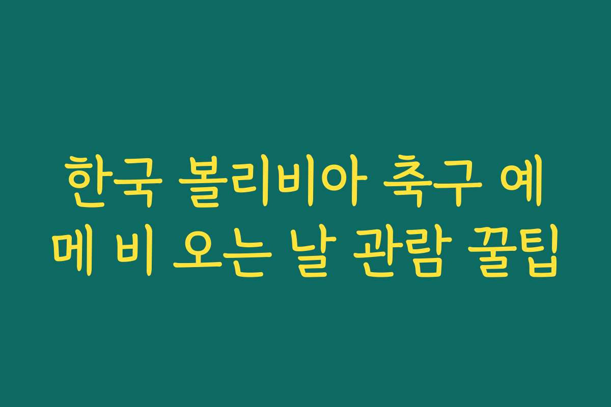 한국 볼리비아 축구 예메 비 오는 날 관람 꿀팁 한국 볼리비아 축구 예메 비 오는 날 관람 꿀팁