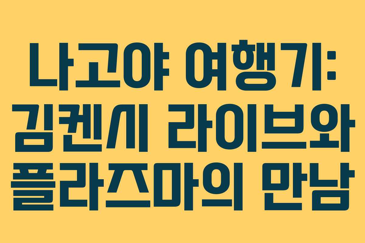 나고야 여행기: 김켄시 라이브와 플라즈마의 만남