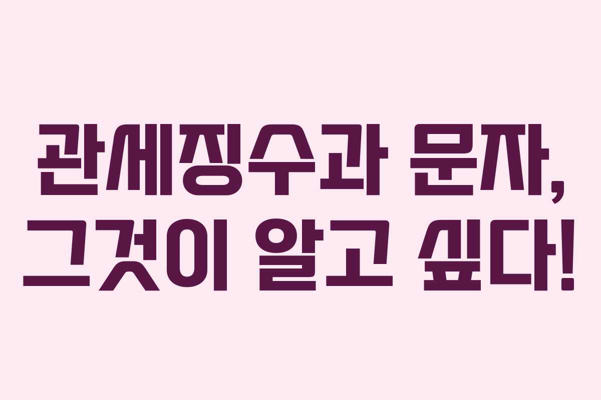 관세징수과 문자, 그것이 알고 싶다!