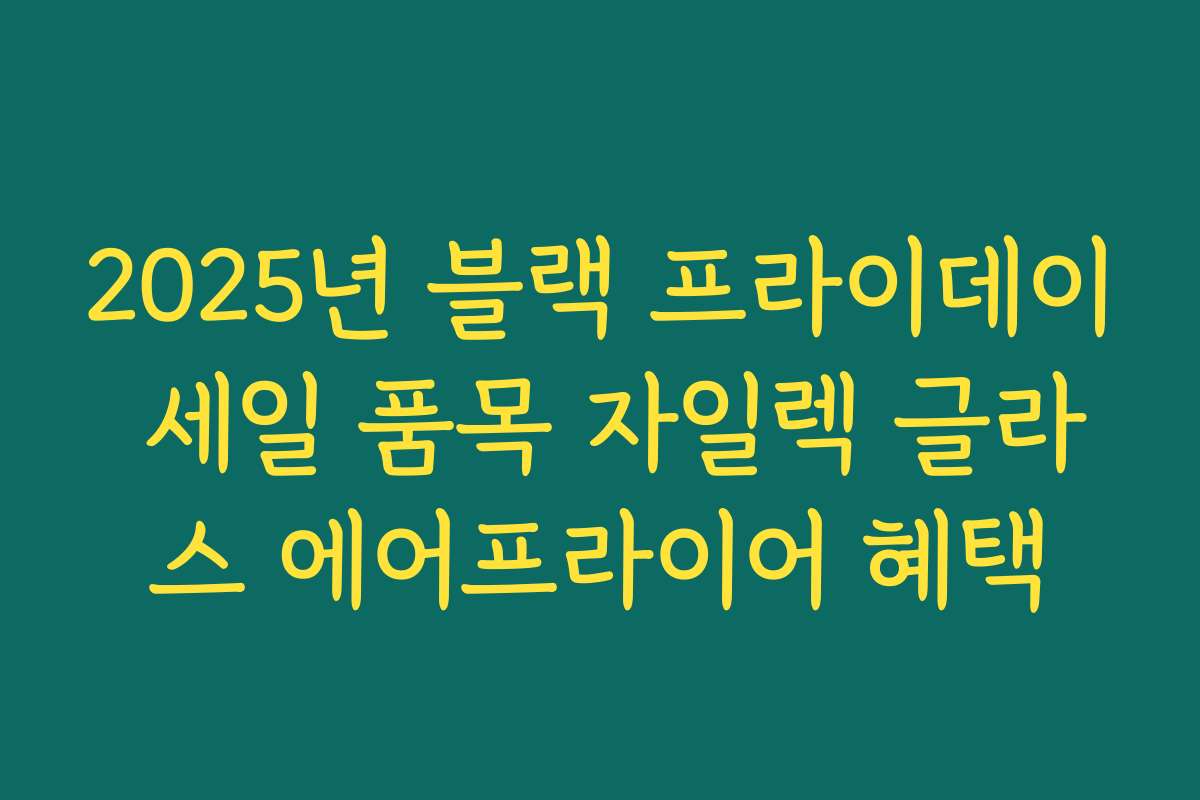 2025년 블랙 프라이데이 세일 품목 자일렉 글라스 에어프라이어 혜택 2025년 블랙 프라이데이 세일 품목 자일렉 글라스 에어프라이어 혜택