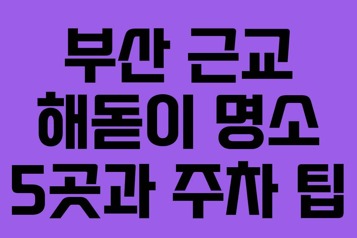 부산 근교 해돋이 명소 5곳과 주차 팁