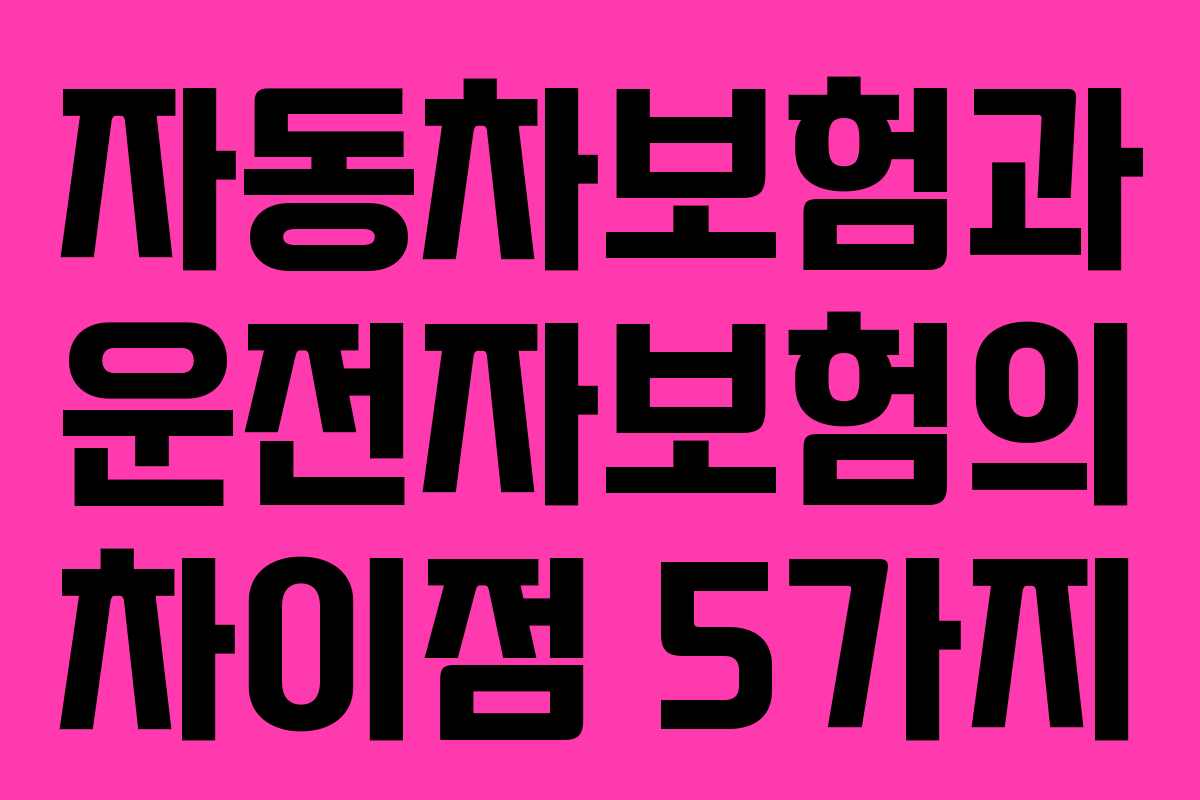 자동차보험과 운전자보험의 차이점 5가지 자동차보험과 운전자보험의 차이점 5가지