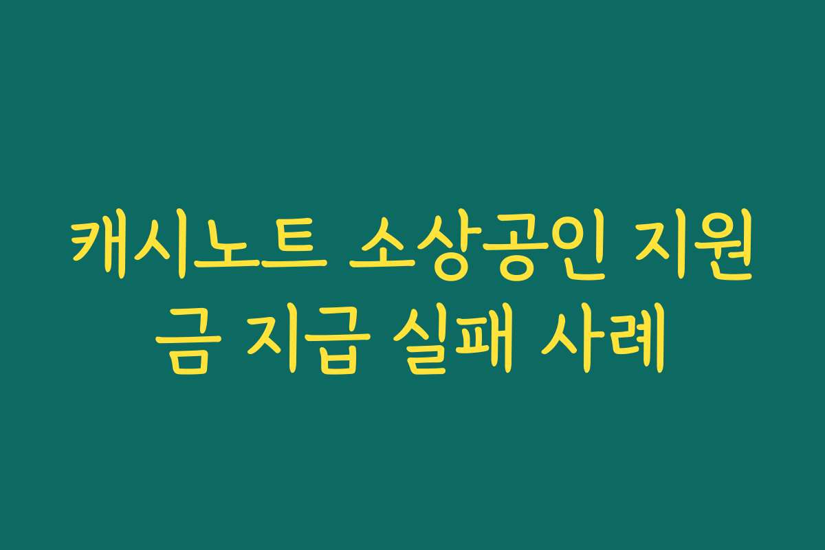 캐시노트 소상공인 지원금 지급 실패 사례