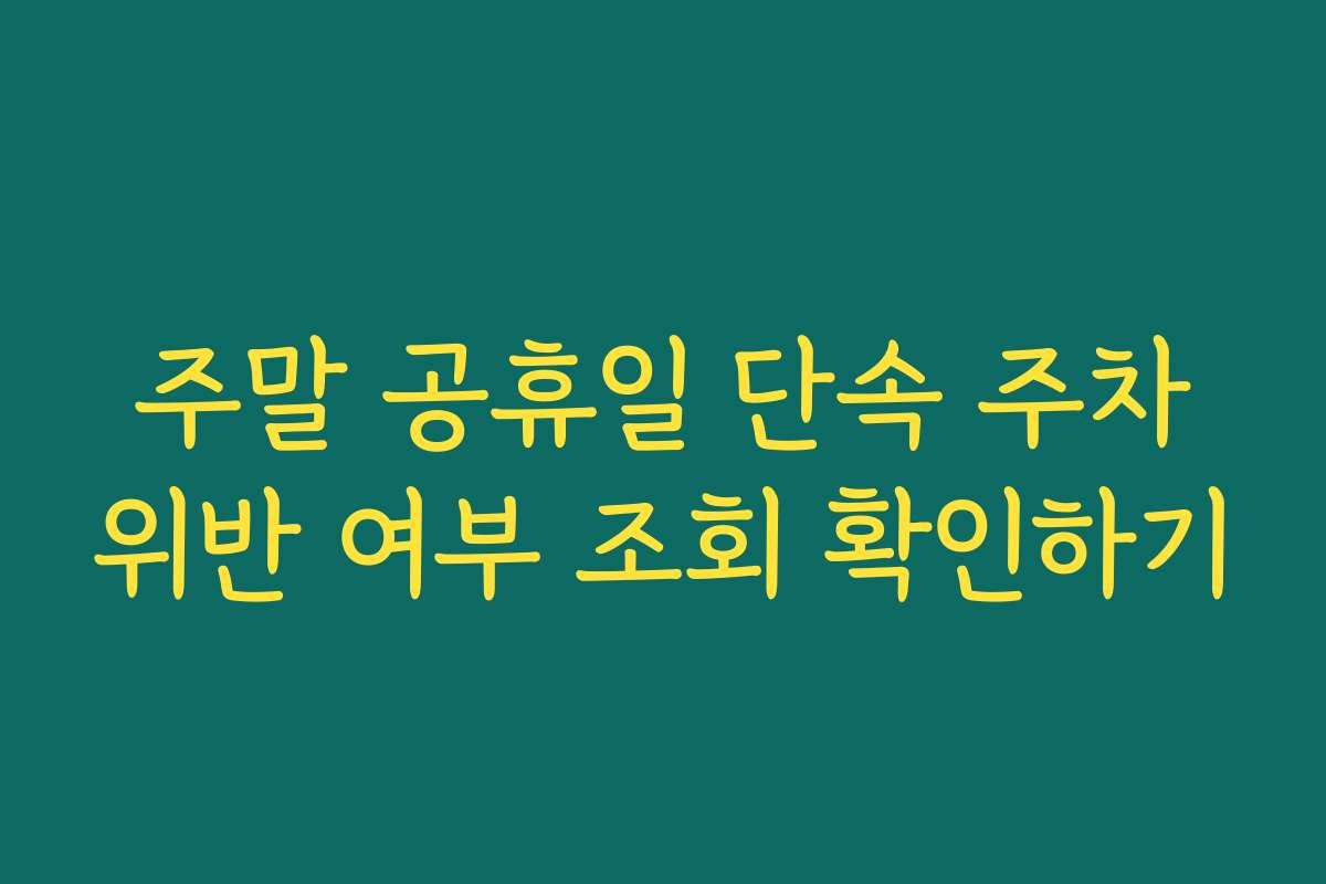 주말 공휴일 단속 주차위반 여부 조회 확인하기 주말 공휴일 단속 주차위반 여부 조회 확인하기