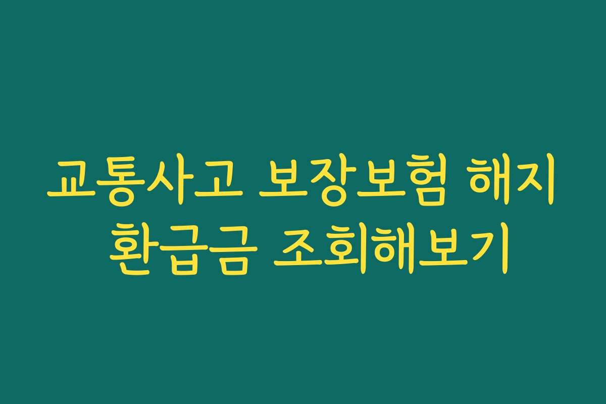 교통사고 보장보험 해지 환급금 조회해보기