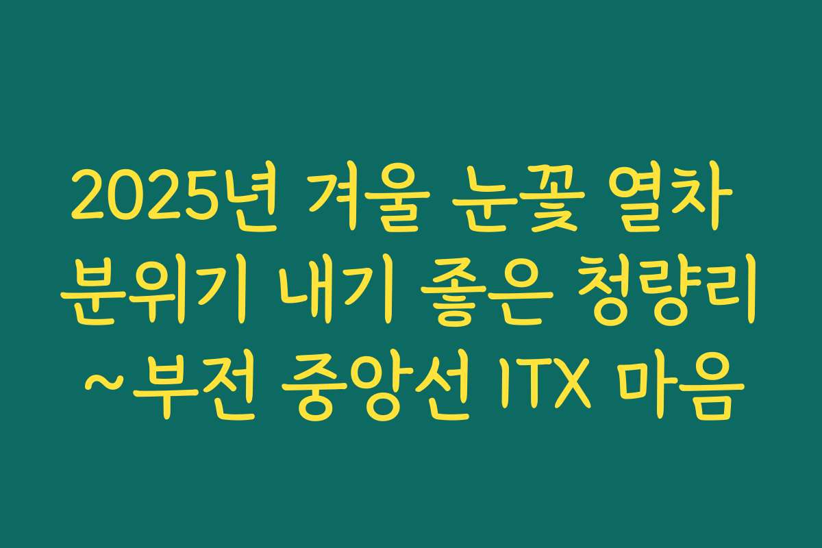 2025년 겨울 눈꽃 열차 분위기 내기 좋은 청량리~부전 중앙선 ITX 마음