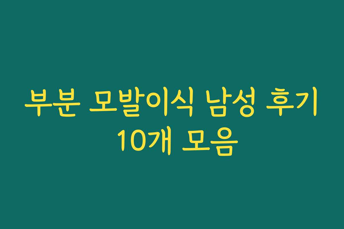 부분 모발이식 남성 후기 10개 모음