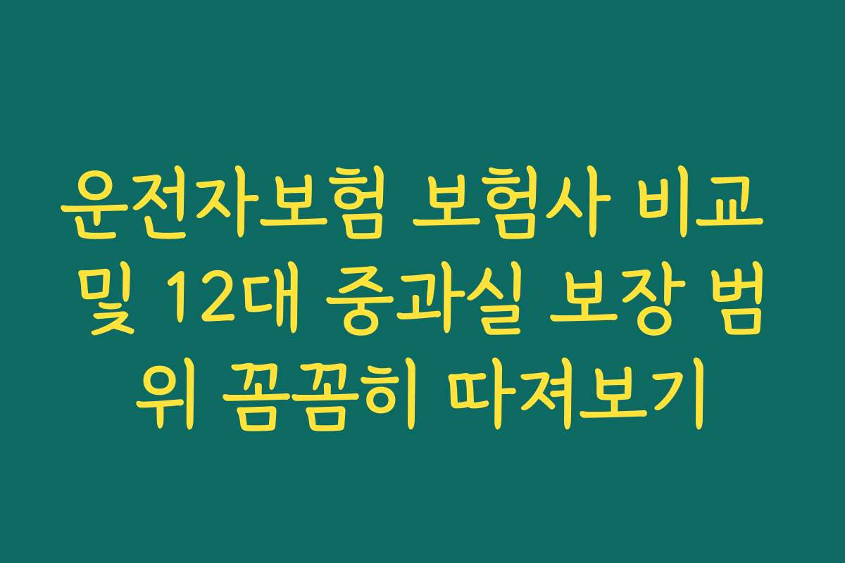 운전자보험 보험사 비교 및 12대 중과실 보장 범위 꼼꼼히 따져보기