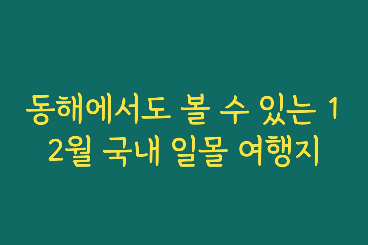 동해에서도 볼 수 있는 12월 국내 일몰 여행지 동해에서도 볼 수 있는 12월 국내 일몰 여행지