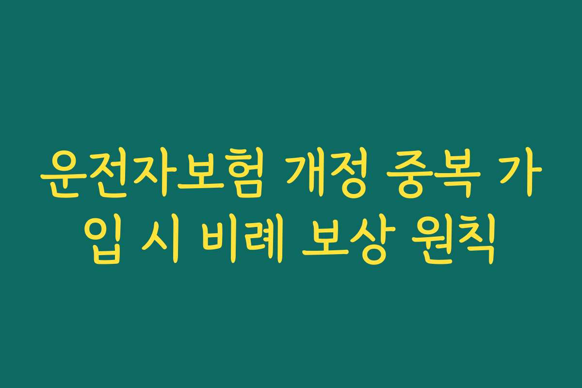운전자보험 개정 중복 가입 시 비례 보상 원칙
