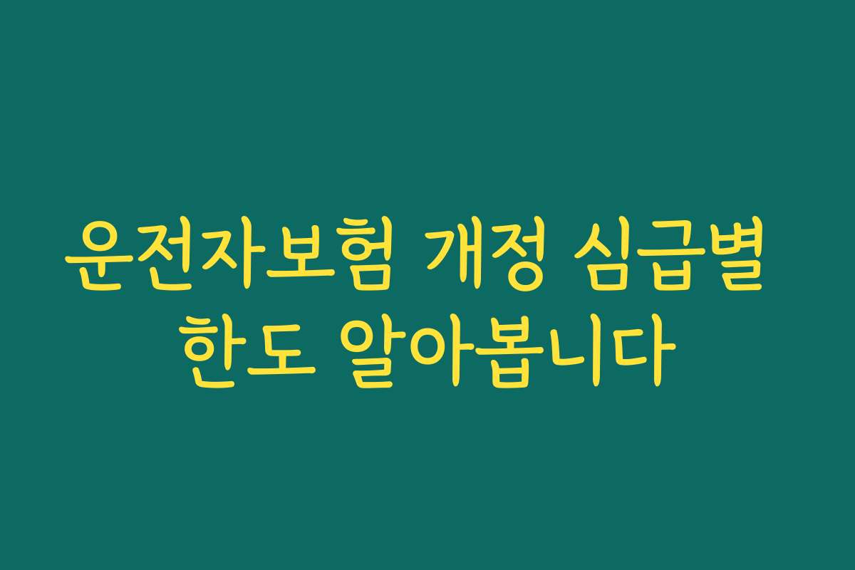 운전자보험 개정 심급별 한도 알아봅니다