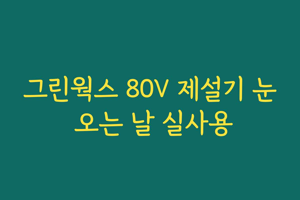 그린웍스 80V 제설기 눈 오는 날 실사용 그린웍스 80V 제설기 눈 오는 날 실사용