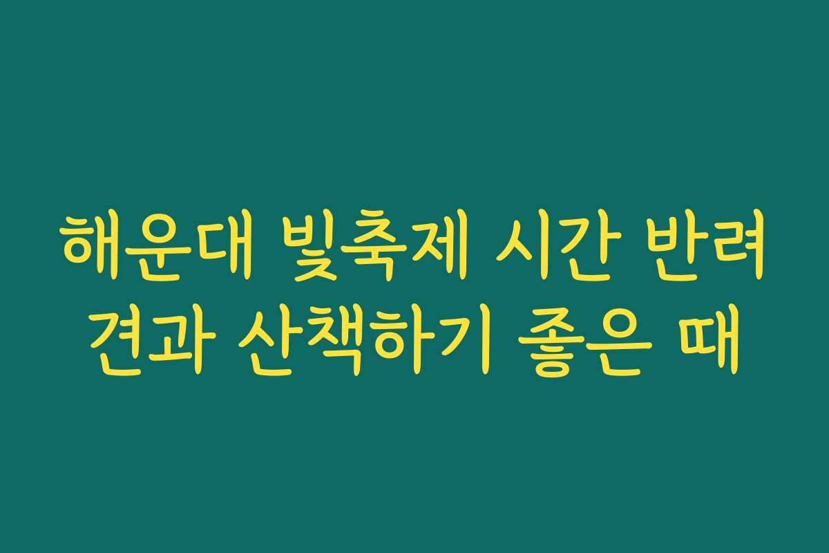 해운대 빛축제 시간 반려견과 산책하기 좋은 때