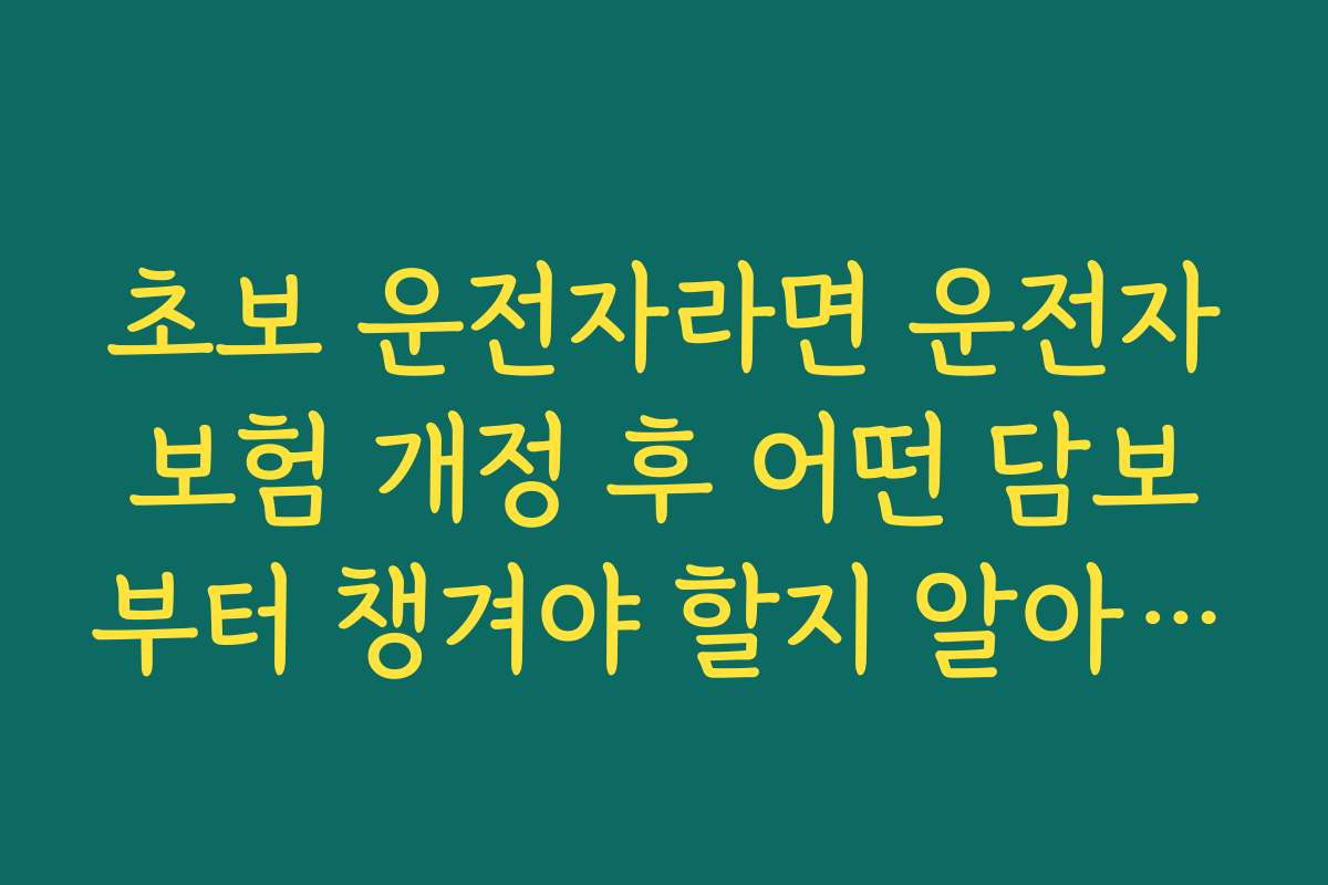 초보 운전자라면 운전자보험 개정 후 어떤 담보부터 챙겨야 할지 알아두기