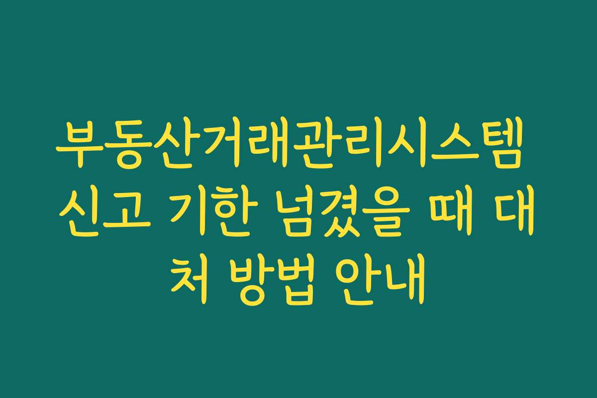 부동산거래관리시스템 신고 기한 넘겼을 때 대처 방법 안내