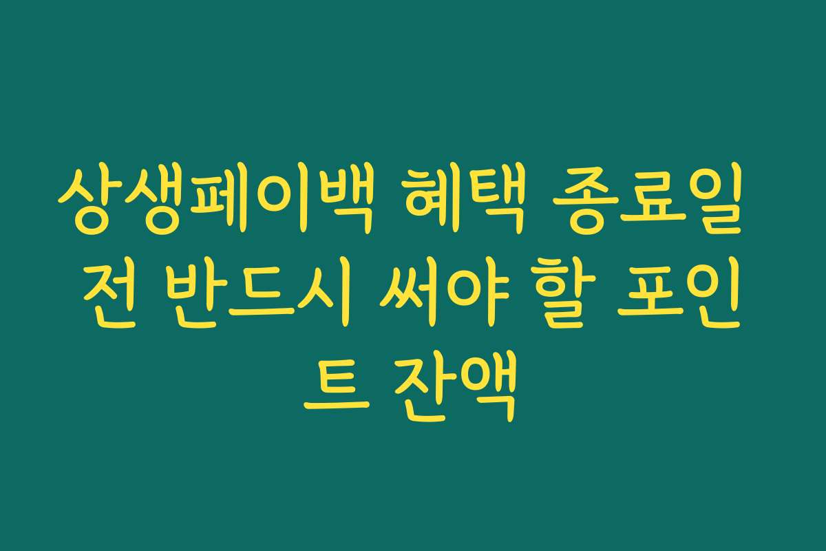 상생페이백 혜택 종료일 전 반드시 써야 할 포인트 잔액