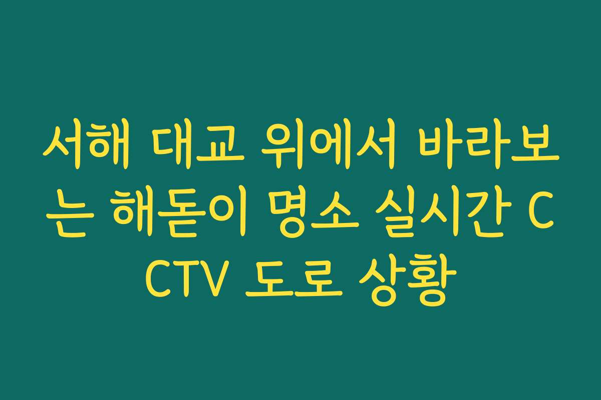 서해 대교 위에서 바라보는 해돋이 명소 실시간 CCTV 도로 상황 서해 대교 위에서 바라보는 해돋이 명소 실시간 CCTV 도로 상황