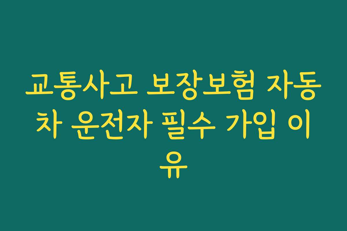 교통사고 보장보험 자동차 운전자 필수 가입 이유