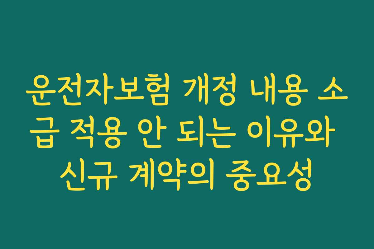 운전자보험 개정 내용 소급 적용 안 되는 이유와 신규 계약의 중요성