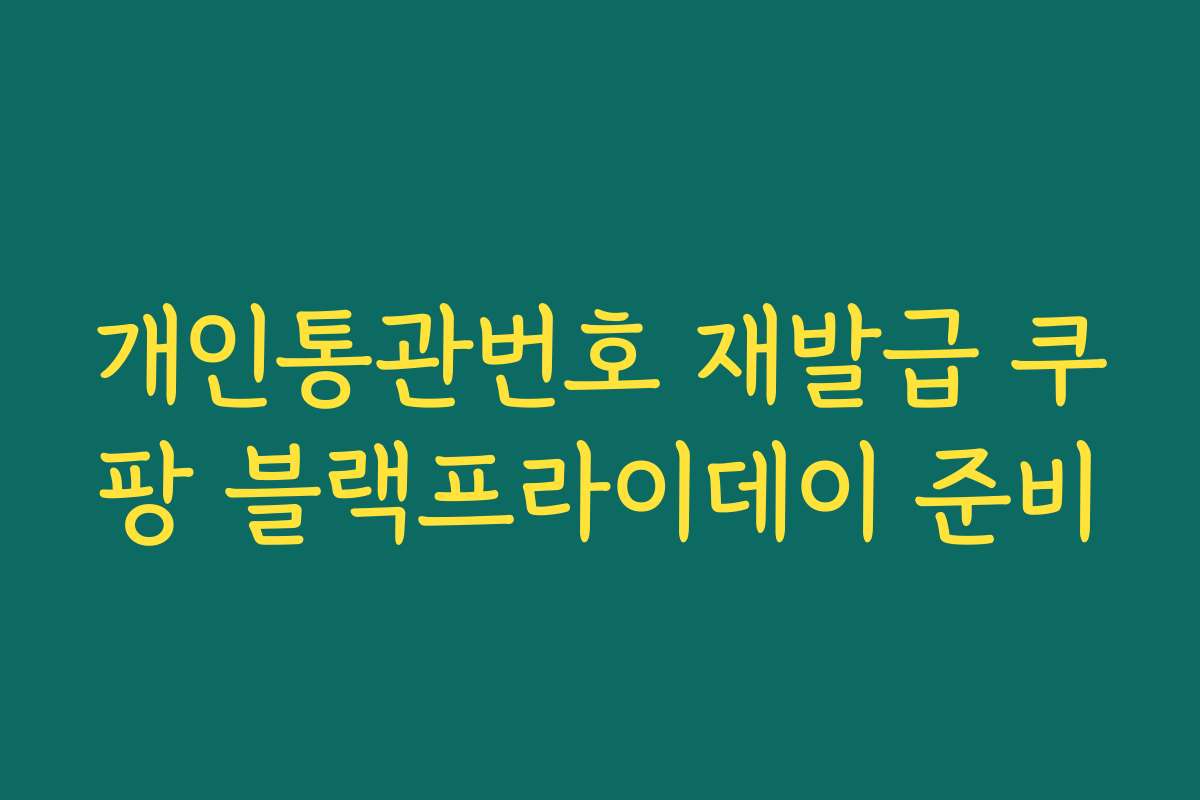 개인통관번호 재발급 쿠팡 블랙프라이데이 준비