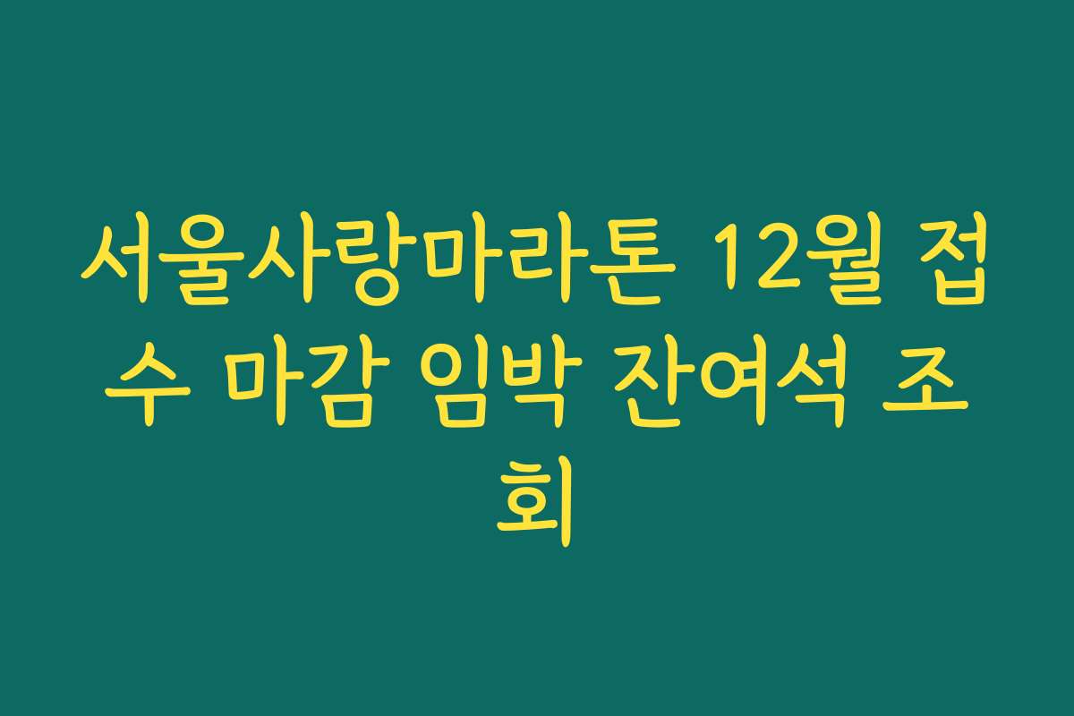 서울사랑마라톤 12월 접수 마감 임박 잔여석 조회
