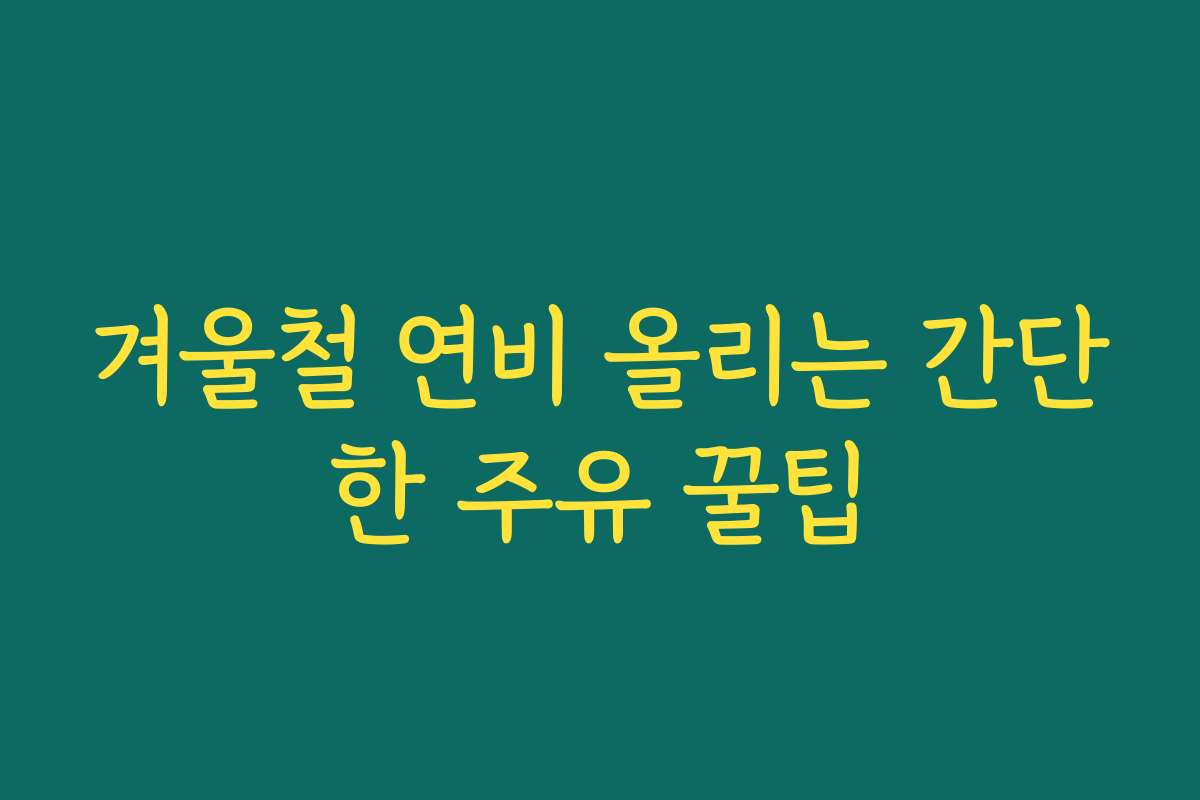 겨울철 연비 올리는 간단한 주유 꿀팁