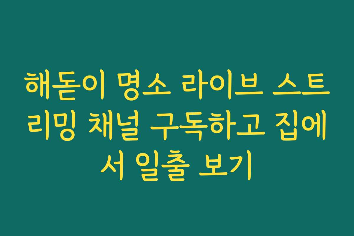해돋이 명소 라이브 스트리밍 채널 구독하고 집에서 일출 보기