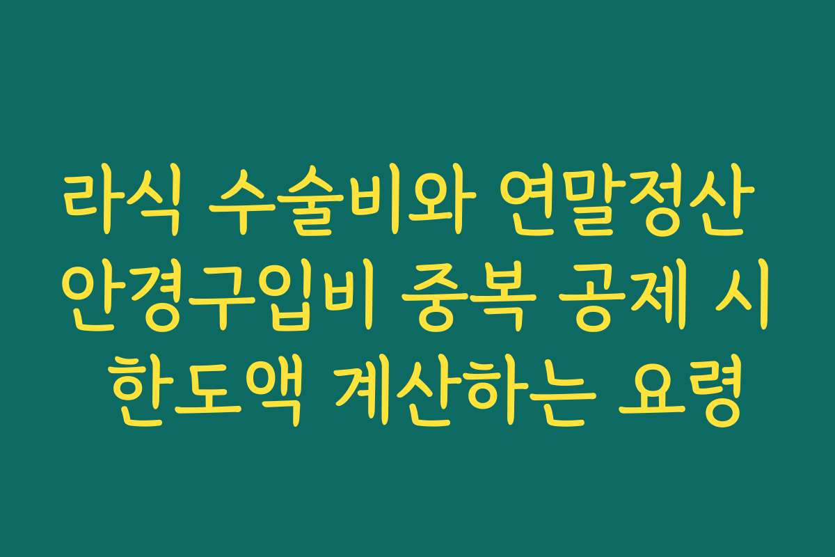 라식 수술비와 연말정산 안경구입비 중복 공제 시 한도액 계산하는 요령