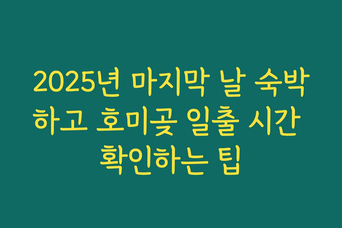 2025년 마지막 날 숙박하고 호미곶 일출 시간 확인하는 팁