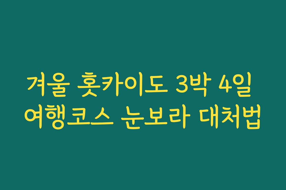 겨울 홋카이도 3박 4일 여행코스 눈보라 대처법