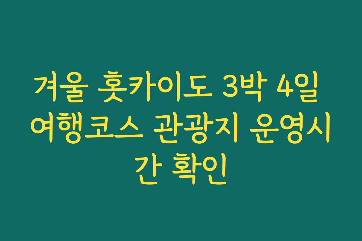 겨울 홋카이도 3박 4일 여행코스 관광지 운영시간 확인 겨울 홋카이도 3박 4일 여행코스 관광지 운영시간 확인