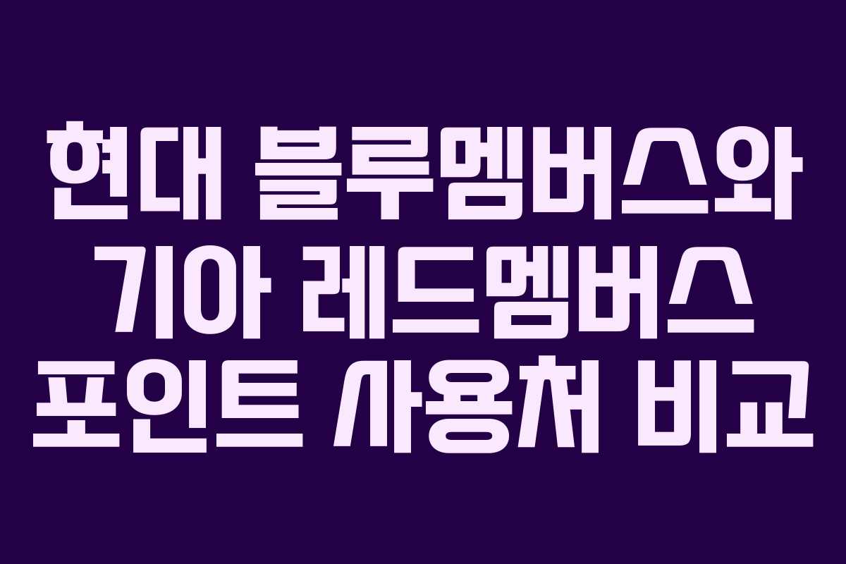현대 블루멤버스와 기아 레드멤버스 포인트 사용처 비교 현대 블루멤버스와 기아 레드멤버스 포인트 사용처 비교