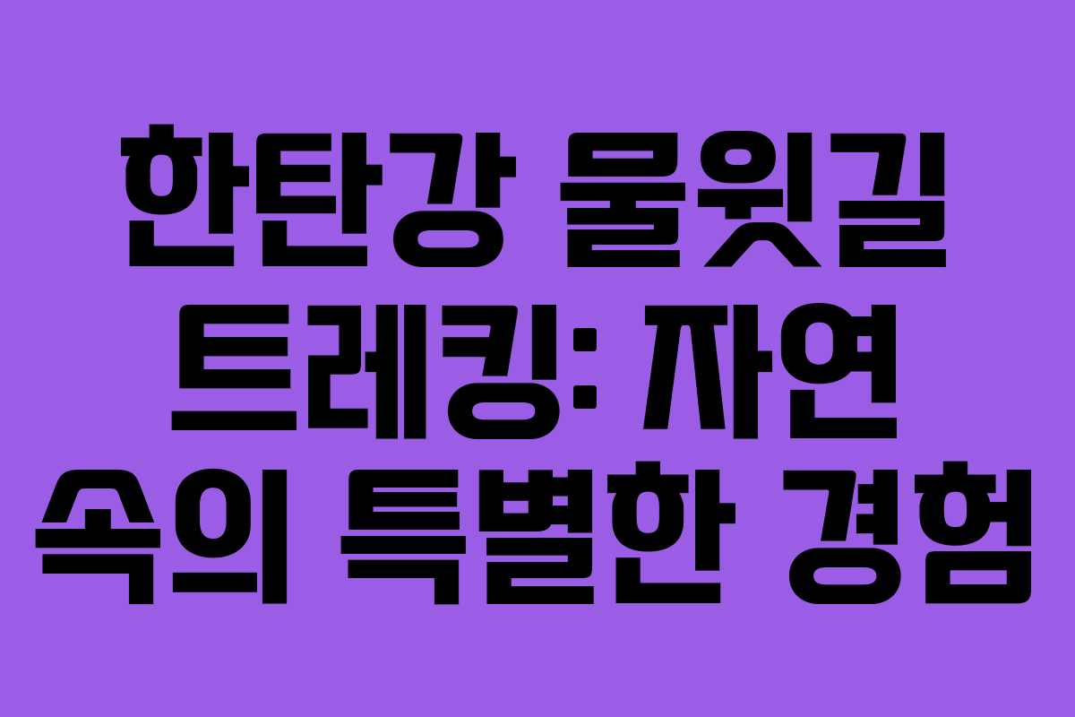 한탄강 물윗길 트레킹: 자연 속의 특별한 경험