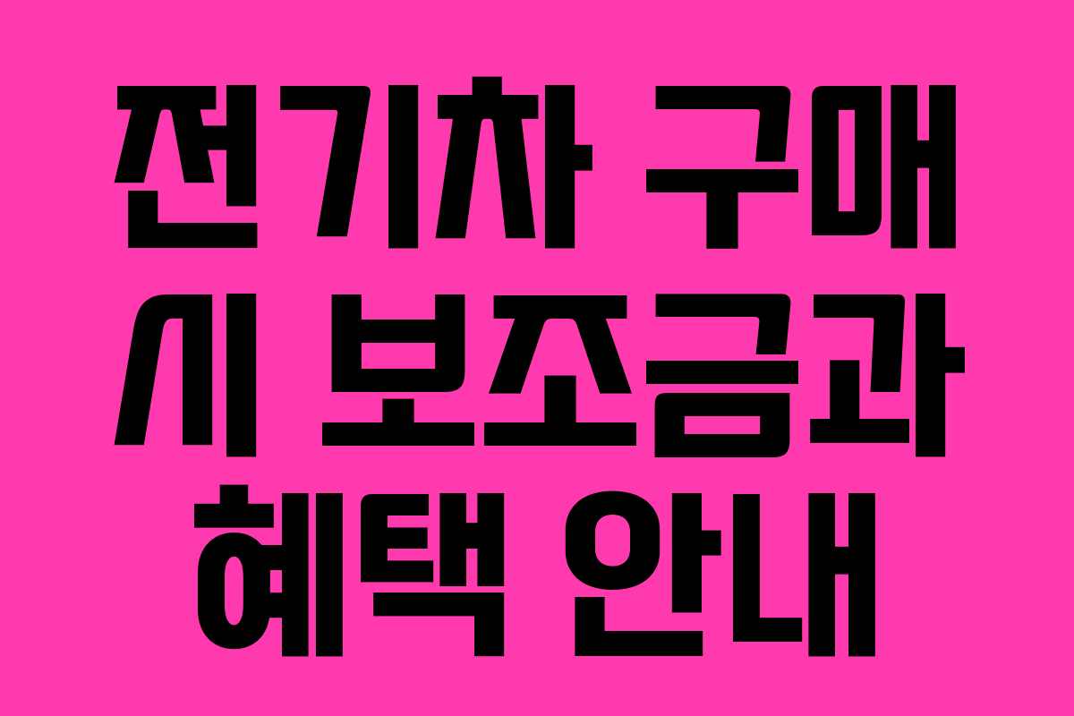 전기차 구매 시 보조금과 혜택 안내 전기차 구매 시 보조금과 혜택 안내