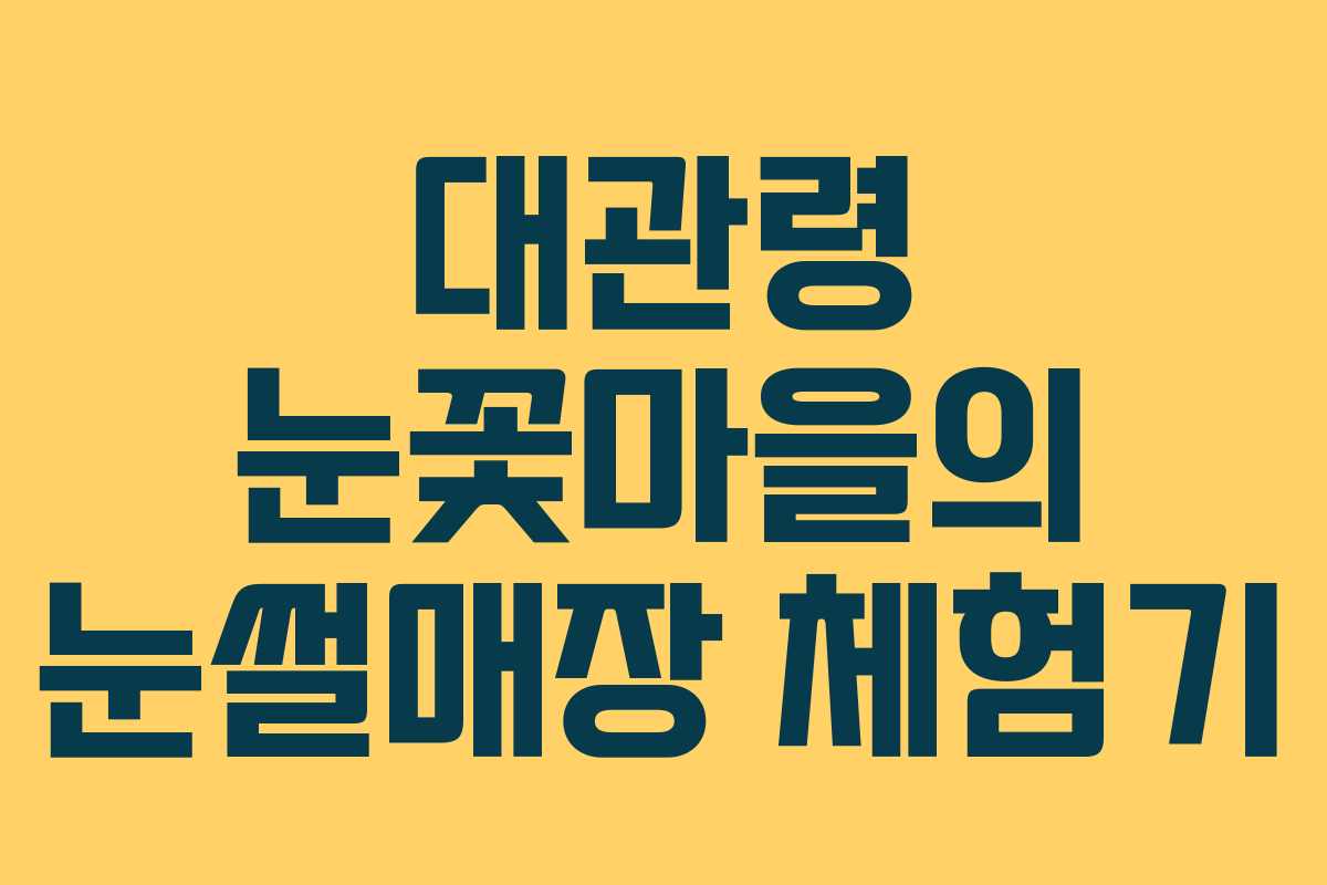 대관령 눈꽃마을의 눈썰매장 체험기