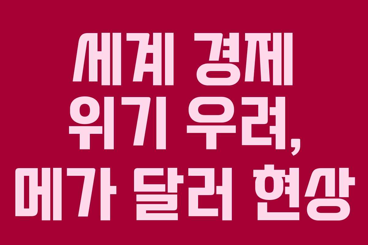세계 경제 위기 우려, 메가 달러 현상